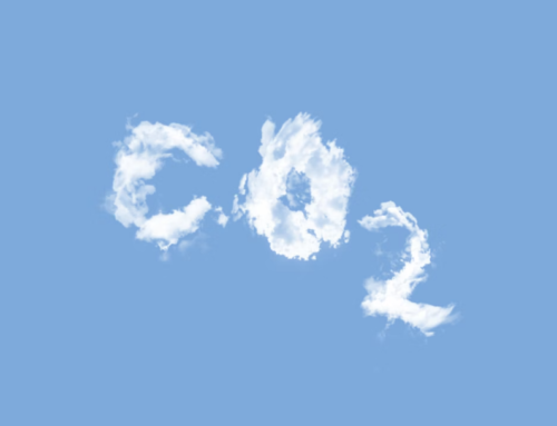 Furniture Carbon Emission Accounting Standard Calling for Comments